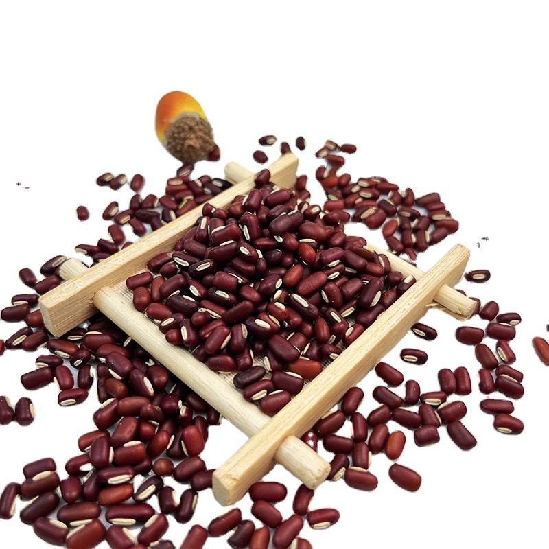 Wholesale High Quality Red Speckled Kidney