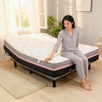 Lit électrique intelligent pliable haut de gamme, durable, inclinable, confort luxueux, réglage silencieux, soutien ergonomique, moderne, pour l'école