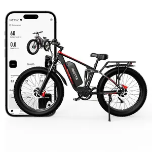 Mountain Electric Bicycle with Dual Shock Absorber and 20AH Large Battery