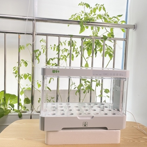 Solución Hidropónica Casera e Hidroponía para Jardineros <span class=keywords><strong>Caseros</strong></span> - Product Image 4