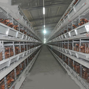 Jaula de Malla de Alambre de Acero Galvanizado Tipo A/H de Alta Productividad para Uso Agrícola, Gallinero - Product Image 5