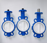 Vannes papillon manuelles en fonte de graphite sphéroïdal avec poignée résistante aux acides, GB, ANSI, JIS, plaque de vanne avec revêtement intérieur en PTFE