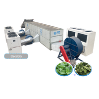 Déshydrateur industriel Commercial continu de bande de maille Machine de séchage de produits agricoles séchoir à légumes