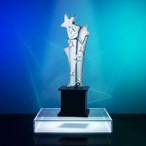 Trophée Étoile en Métal Coulé avec Gravure Laser et Impression UV, Finition Polie, Portable pour la Reconnaissance Sportive et les Jeux - Product Image 1