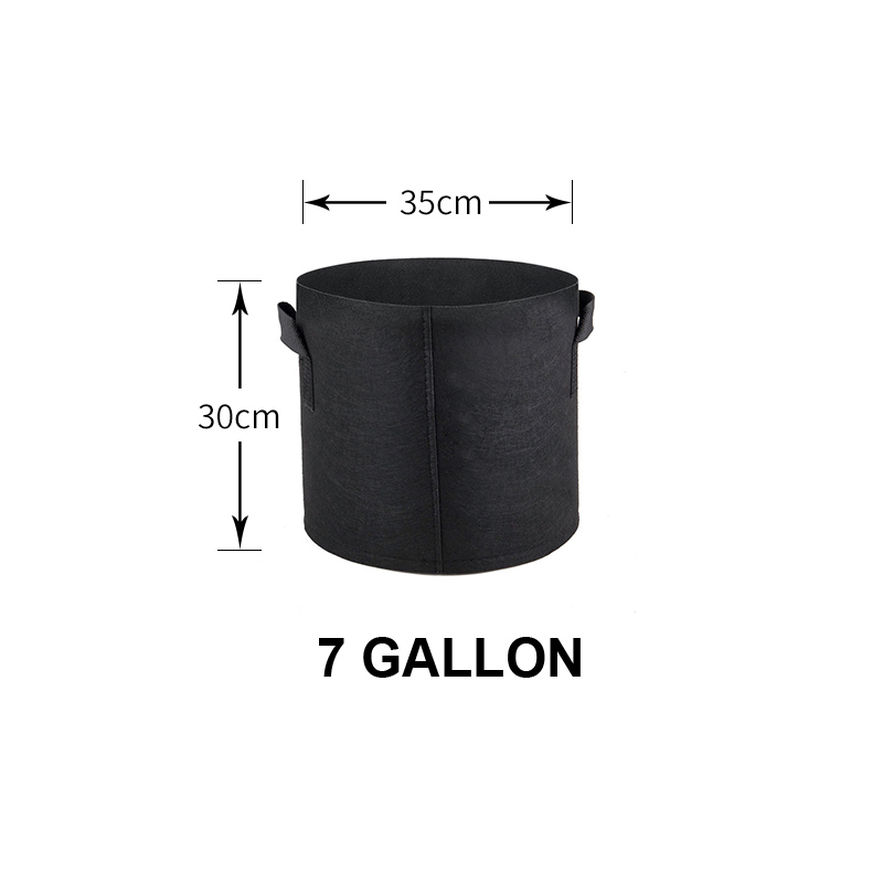 Noir-7 GAL