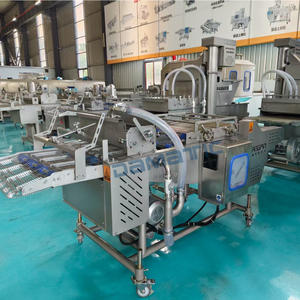 Machine automatique de panification et de pulvérisation pour nuggets, cotolettes et filets de bœuf, agneau et poulet frits - Product Image 6