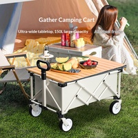 Mini chariot de camping pliable d'extérieur, chariot de courses portable, chariot de pique-nique pliable
