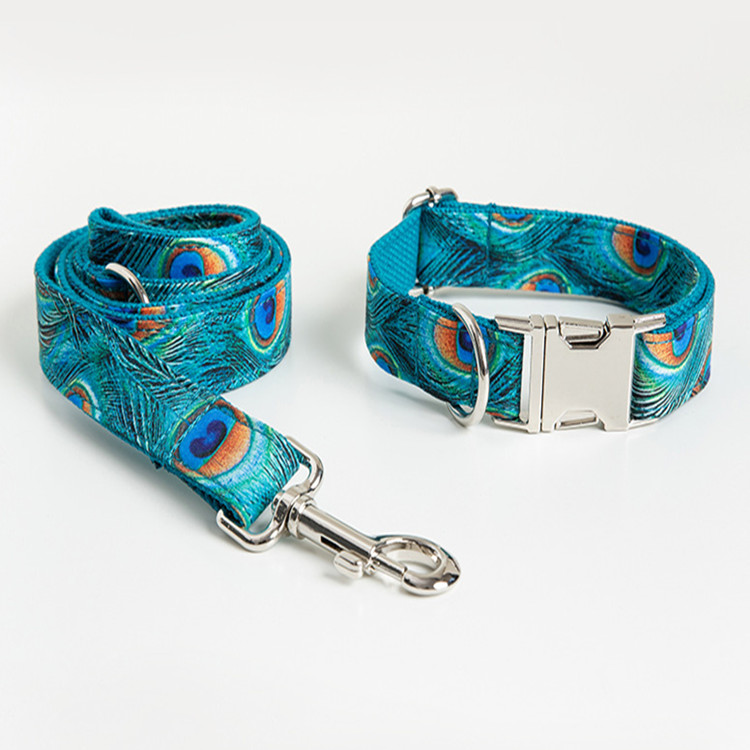 collar with leash 7