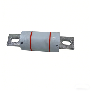 FLPJ30SP Fusible de Retardo Clase J 600V 30A para Protección de Circuitos de Motor y Paneles de Control <span class=keywords><strong>FASTECH</strong></span> En Stock - Product Image 4