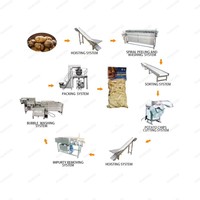 Kleine Schaal Cassave Verwerking Plant Garri Productielijn Gari Verwerking Machine In Nigeria