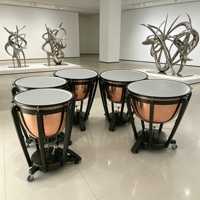 Tambour Timpani Portable 20 Pouces en Cuivre avec Pédale Facilement Réglable et Roues, Instrument de Percussion Léger