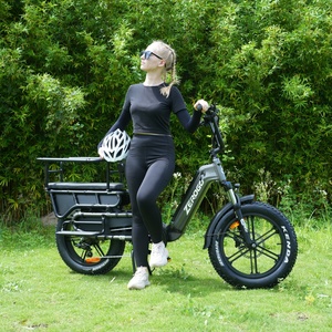Bici Elettrica <span class=keywords><strong>Cargo</strong></span> EU Hot Sale con Batteria da 15Ah a Lunga Autonomia, Freni Idraulici e Grande Capacità - Bici Elettrica Multiuso - Product Image 4
