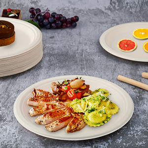 Assiettes en bagasse de canne à sucre personnalisées avec logo imprimé, 7/9/10 pouces, assiettes à gâteau, plateaux en carton pour pâtisserie - Product Image 6