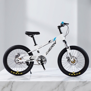 Bicicleta de Montaña de Aluminio y Acero al Carbono, Fabricada en China, 20 Pulgadas, Doble Disco, OEM, Una Velocidad - Product Image 5