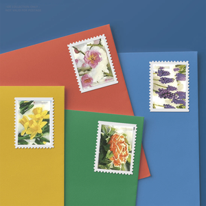 Compre con Descuento: Libros en Inglés de Colección Personalizados 2022 Snowy Garden Beauty, Álbum de Estampillas <span class=keywords><strong>Postales</strong></span> Originales Antiguas - Product Image 1