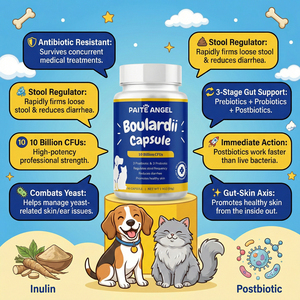 Complément Digestif pour Chiens et Chats en Gros : Complexe Prébiotique, Postbiotique et Probiotique 10 Milliards UFC – Poudre et Capsules pour Affirmer les Selles - Product Image 1