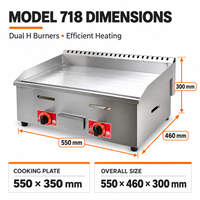 Gril à gaz commercial à économie d'énergie, double brûleurs H, en acier inoxydable, plan de cuisson plat, flamme réglable, chauffage rapide, facile à utiliser