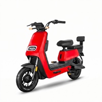 Vélo électrique urbain 500W 48V, cadre en alliage d'aluminium 14 pouces, moteur à moyeu arrière, double siège avec dossier, freins à tambour, pour trajets quotidiens