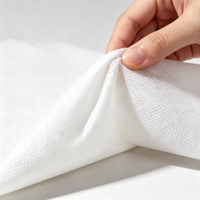 Pabrik Grosir Kain Nonwoven Spunbond PP Bahan Baku Putih 50-70gsm untuk Pegas Sofa