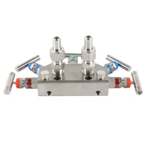 Coplanar Instrument 5 Valve Manifold for Pressure Transmittes Manufacture and Supplier Stainless Steel 5 Way Manifold
