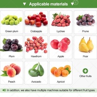 Nouvel extracteur de noyaux de cerises et de prunes, séparateur de graines, outil de dénoyautage multifonctionnel, machine à dénoyaouter, vente chaude