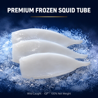 Tube de calmar Illex surgelé IQF, qualité supérieure, pour la restauration, vente en gros, commande directe pour revendeurs