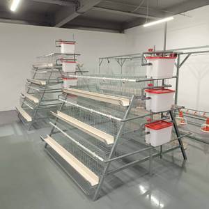 Système de <span class=keywords><strong>cage</strong></span> à poules pondeuses de type batterie pour 1000 oiseaux, équipement d'élevage de poulets galvanisé, vente chaude - Product Image 5