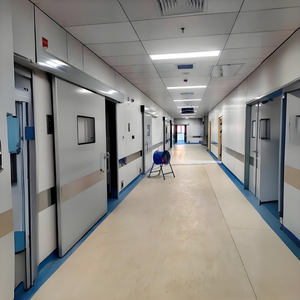 Puertas de Seguridad de Acero Inoxidable para Cuartos Limpios Médicos, <span class=keywords><strong>Precio</strong></span> de Fábrica, Acabado con Aislamiento Acústico para Hospitales/Fábricas de Alimentos/Laboratorios - Product Image 6