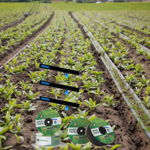 <span class=keywords><strong>Tubo</strong></span> di irrigazione a goccia in plastica personalizzabile di alta qualità per la casa serra e fattoria Roll-imballato in fabbrica-personalizzato - Product Image 1