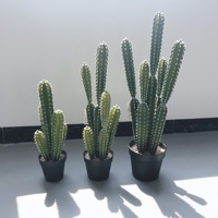 Plantes artificielles réalistes en forme de cactus, faux cactus avec pot pour la vente en gros
