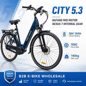 Vélo de ville CITY 5.3 avec cadre en aluminium, moteur central 250W, batterie 36V14Ah, <span class=keywords><strong>Nexus</strong></span> <span class=keywords><strong>7</strong></span> vitesses, freins à disque, homologué CE EN15194, longue autonomie, léger - Product Image 1