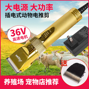 Cortadora Eléctrica Dorada Limei 005 de 36V con Cable para Perros y Cabras, Herramienta de Peluquería Canina - Product Image 4