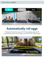 Poulailler pliable galvanisé portable pour l'extérieur, anti-prédateurs, avec système de récupération automatique des œufs, installation facile, cage à volailles pour poules pondeuses