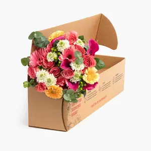 사용자 정의 로고 인쇄 종이 골판지 성장 즙이 많은 포장 라이브 식물 배송 상자 꽃 포장