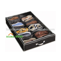 Boîte de rangement pliable transparente pour 12 paires de chaussures sous le lit en non-tissé avec fermeture éclair – Organisateur domestique très vendu