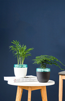 En gros Créatif Paresseux Auto-Arrosage En Plastique Pot De Fleur Jardin Intelligent Paresseux Pot De Fleur Artificielle Décorative Pots de Fleurs Décor