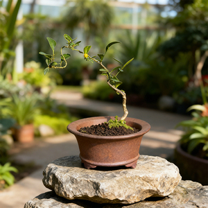 Macetas <span class=keywords><strong>de</strong></span> bonsái Yixing redondas pequeñas macetas <span class=keywords><strong>de</strong></span> arcilla púrpura artesanía artesanal con drenaje Superior eleva tu habitación y decoración tipo encanto - Product Image 6