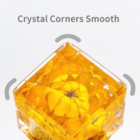Cube en cristal époxyde de résine 4*4*4cm vraie araignée avec le vrai insecte de Web dans la résine de spécimen de résine bloque des ressources pédagogiques de presse-papiers