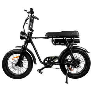 7Go EB4 EB2 미국 EU 재고 전기 자전거 20 인치 지방 타이어 전기 자전거 핫 세일 모델 EB2 1000w 도시 전자 자전거 - Product Image 1