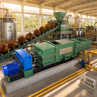 Presse à huile à double vis pour palmiste, équipement d'extraction continue pour usine de moulin à huile