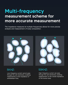 Analisador de Composição Corporal 30+ Escala de Peso com Tela Touch LCD Inteligente para Medição de Gordura Corporal - Product Image 6