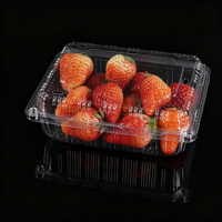Machine de thermoformage industrielle multi-stations pour emballage de fruits et légumes, profondeur de 140 mm