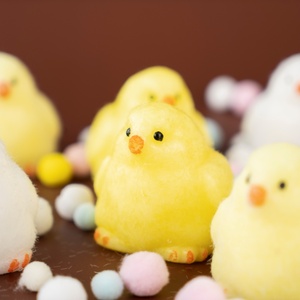 Jouet sensoriel anti-stress en TPR personnalisé en usine, poussin souple, pour enfants de 8 à 13 ans, balle à presser pour réduire l'anxiété - Product Image 4