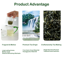 Muestra Gratis Disponible, Té Verde Chino de Alta Montaña, 40g, Recogido a Mano, Botón Único, Aroma a Castaña, Té Suelto