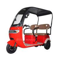Tricycle pour passagers, tricycle à 3 roues pour adultes, vélo familial