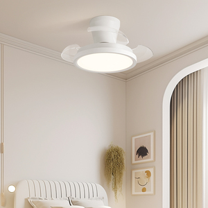 22 inch bạc cơ thể đánh bóng Chrome vô hình fan hâm mộ ánh sáng Kit - Product Image 3