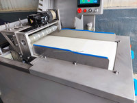 Automatische voedselverwerkingsmachine voor het snijden van bevroren vleesblokjes & groente-/fruitblokjes met motor