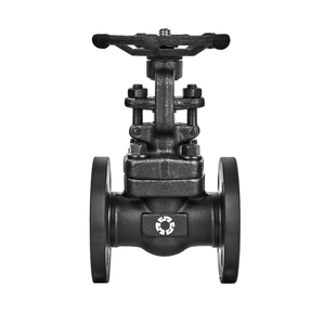 DN10 DN25 클래스 150lb 수동 탄소강 플랜지 글로브 밸브 물 오일 고압 용 초고진공 제어 - Product Image 1