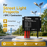 Contrôleur de charge solaire PWM 3219-CK 3.2V 20W 15A à fonctionnement facile pour éclairage public à énergie solaire