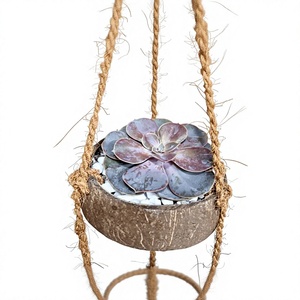 Pot de noix de coco écologique/pot de plante de noix de coco/plantes suspendues en coquille de noix de coco bon prix par Eco2go Vietnam - Product Image 1